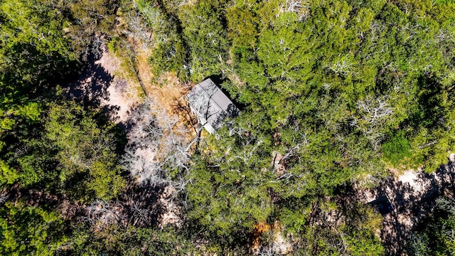 614 River Lakes Rd, Goodrich, TX 77335 - drone / aerial view