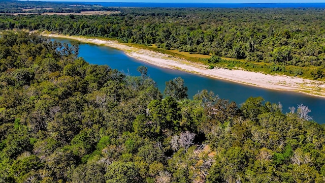 614 River Lakes Rd, Goodrich, TX 77335 - bird's eye view of a forest and a nearby body of water
