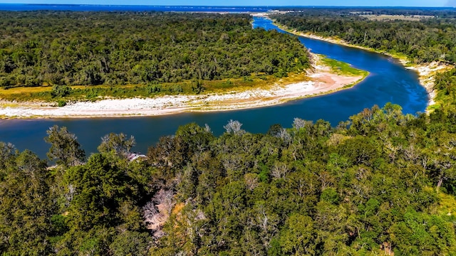 614 River Lakes Rd, Goodrich, TX 77335 - drone / aerial view of a heavily wooded area and a nearby body of water