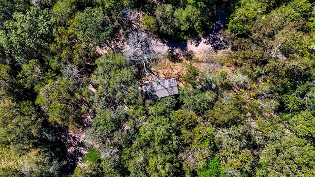 614 River Lakes Rd, Goodrich, TX 77335 - bird's eye view