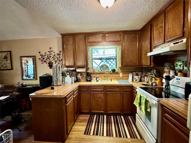 1347 Cardinal Ln, Trinity, TX 75862 - kitchen with white electric range oven, under cabinet range hood, a sink, a peninsula, and a textured ceiling