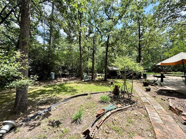 1347 Cardinal Ln, Trinity, TX 75862 - view of yard