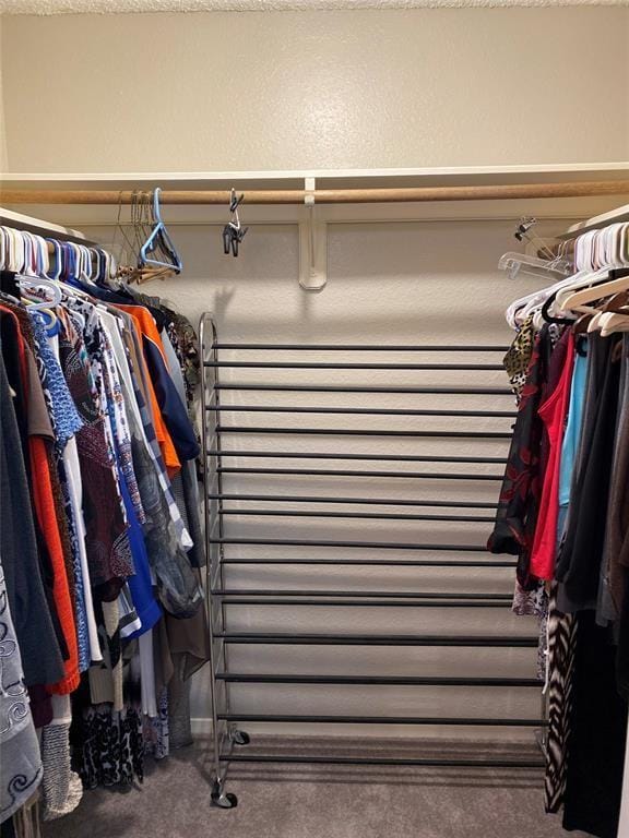 8435 Sands Point Dr, Houston, TX 77036 - walk in closet with carpet