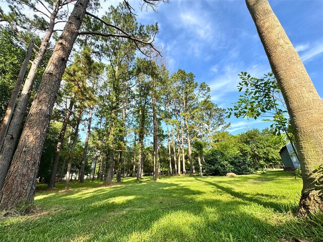1950 County Road 540, Alvin, TX 77511 - photo 10