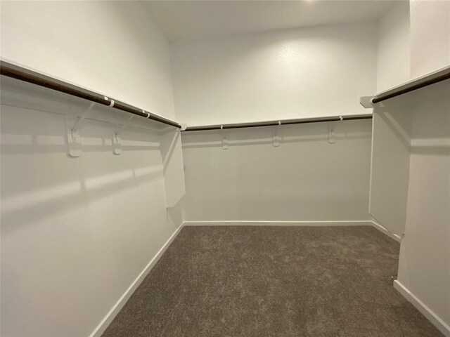 4711 Purple Fountain Dr, Rosenberg, TX 77469 - photo 12