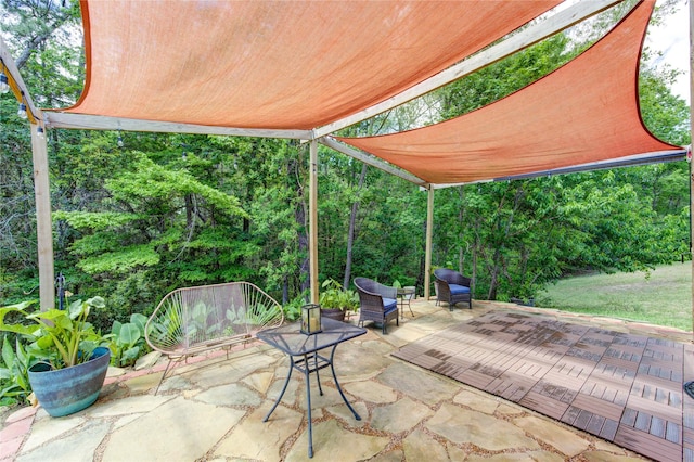 10531 Sunflower Dr, Willis, TX 77318 - view of patio