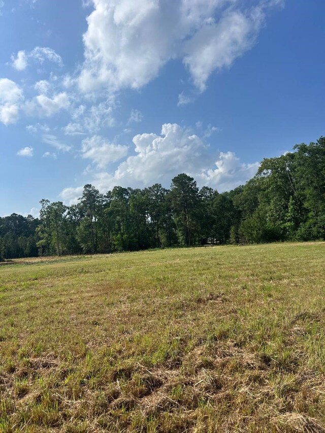 24980 Blackburn Dr, Splendora, TX 77372 - photo 2
