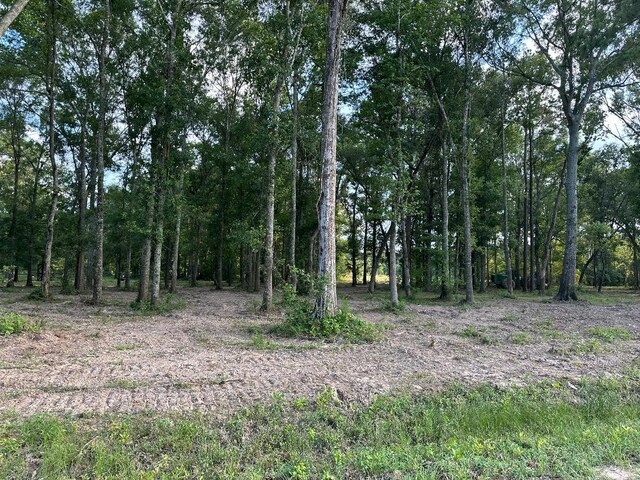 24980 Blackburn Dr, Splendora, TX 77372 - photo 12