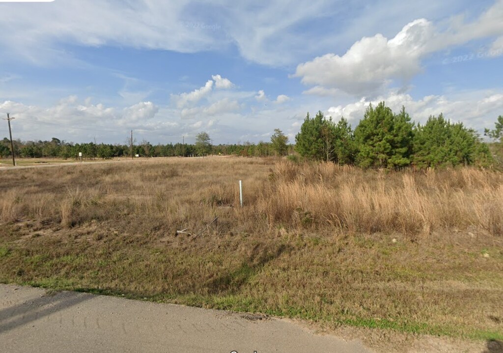 18206 Villamonte Dr, Cleveland, TX 77327 - photo 1
