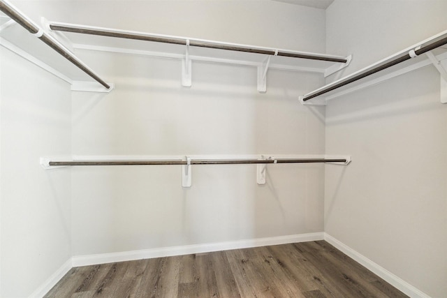 3685 Cub Dr, Conroe, TX 77301 - spacious closet featuring wood finished floors