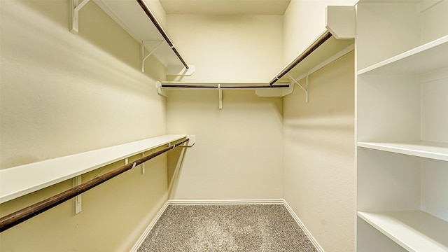 32706 Oak Heights Ln, Brookshire, TX 77423 - walk in closet featuring carpet floors