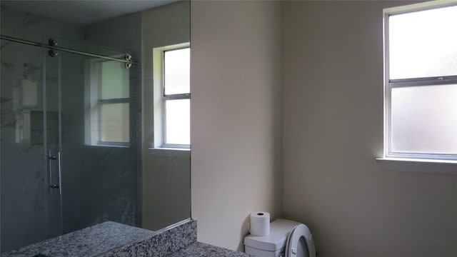 2223 Sentinal Oaks St, Sugar Land, TX 77478 - bathroom featuring plenty of natural light, toilet, a marble finish shower, and vanity