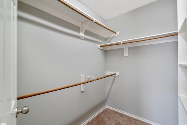 17139 Oakwood Chase Dr, Spring, TX 77379 - walk in closet with carpet floors