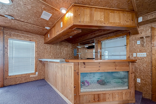 7650 Smiling Wood Ln, Houston, TX 77086 - bar with carpet