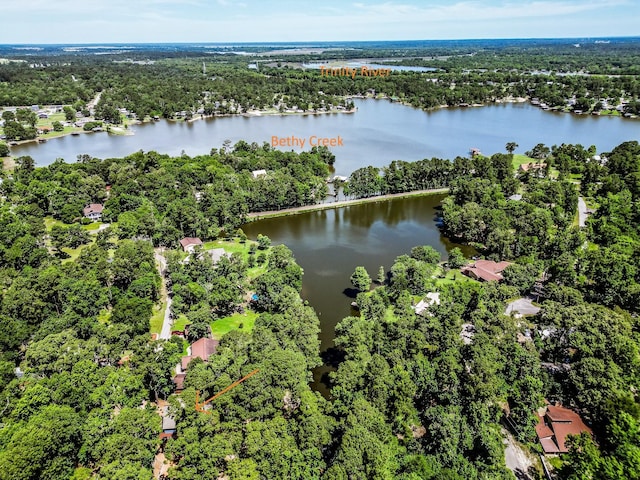 44 Post Oak Dr, Huntsville, TX 77320 - aerial view of a nearby body of water and a heavily wooded area