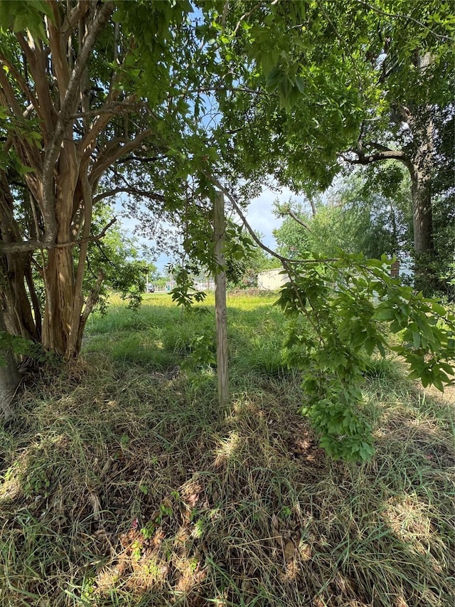 5726 N Wayside Dr, Houston, TX 77028