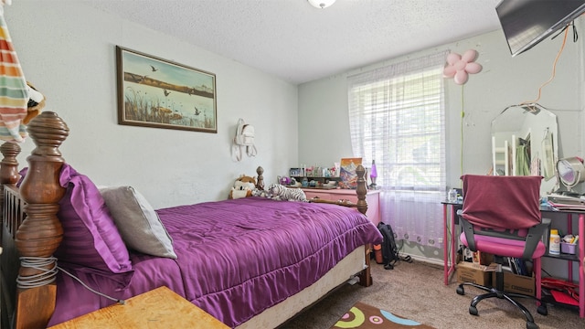 3814 Ripplebrook Dr, Houston, TX 77045 - carpeted bedroom with a textured ceiling