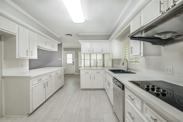 2706 Williams Grant St, Sugar Land, TX 77479 - kitchen featuring a sink, under cabinet range hood, dishwasher, tasteful backsplash, and black electric stovetop