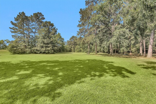 1356 Pegoda Ranch Rd, Woodlake, TX 75865 - view of green lawn featuring view of scattered trees