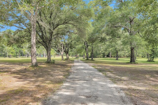 1356 Pegoda Ranch Rd, Woodlake, TX 75865 - view of community featuring asphalt driveway
