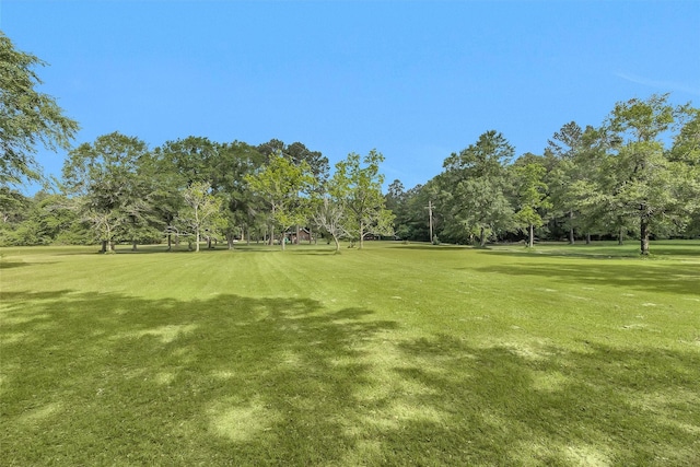 1356 Pegoda Ranch Rd, Woodlake, TX 75865 - view of home's community featuring view of scattered trees and a yard