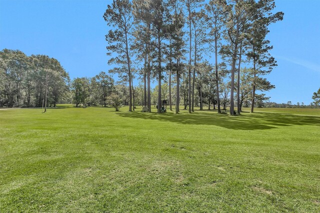 1356 Pegoda Ranch Rd, Woodlake, TX 75865 - view of grassy yard featuring view of wooded area