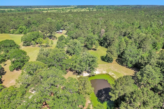 1356 Pegoda Ranch Rd, Woodlake, TX 75865 - view of property location with a heavily wooded area and a nearby body of water