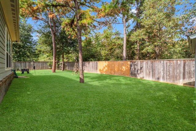 143 Jacks Corner Dr, Montgomery, TX 77316 - view of yard