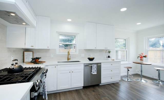 5313 De Lange Ln, Houston, TX 77092 - kitchen featuring stainless steel appliances, custom exhaust hood, a sink, dark wood finished floors, and decorative backsplash
