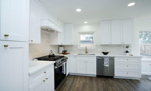 5313 De Lange Ln, Houston, TX 77092 - kitchen with appliances with stainless steel finishes, a sink, premium range hood, backsplash, and white cabinetry