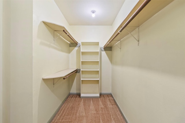 3336 Thornwood Way, Huntsville, TX 77340 - spacious closet with carpet floors