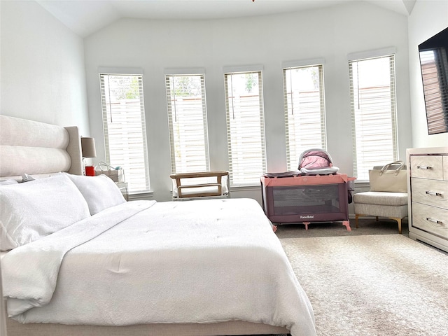7419 Caprock Canyon Ln, Porter, TX 77365 - carpeted bedroom with vaulted ceiling