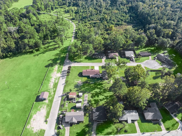 213 Cobb St, Corrigan, TX 75939 - view of property location featuring a forest and nearby suburban area