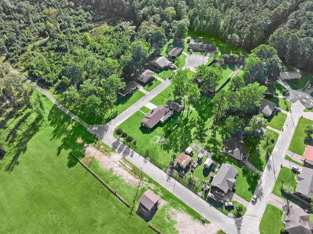 213 Cobb St, Corrigan, TX 75939 - aerial view of property's location with nearby suburban area and a heavily wooded area