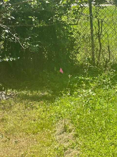 8008 De Priest St, Houston, TX 77088 - view of undeveloped land