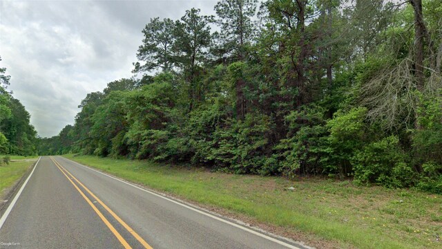 TBD Fm 2800, Jasper, TX 75951 - photo 3
