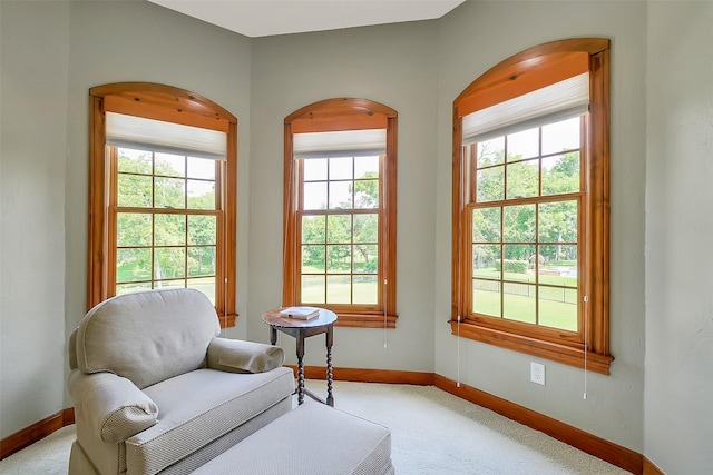 5318 Westerham St, Fulshear, TX 77441 - sitting room featuring baseboards, plenty of natural light, and light carpet