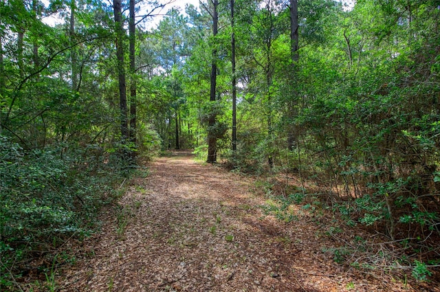 12447 Mitchell Ln, Plantersville, TX 77363 - photo 7