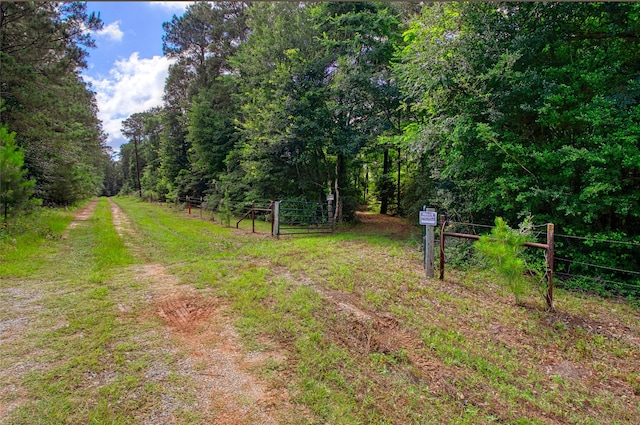 12447 Mitchell Ln, Plantersville, TX 77363 - photo 8