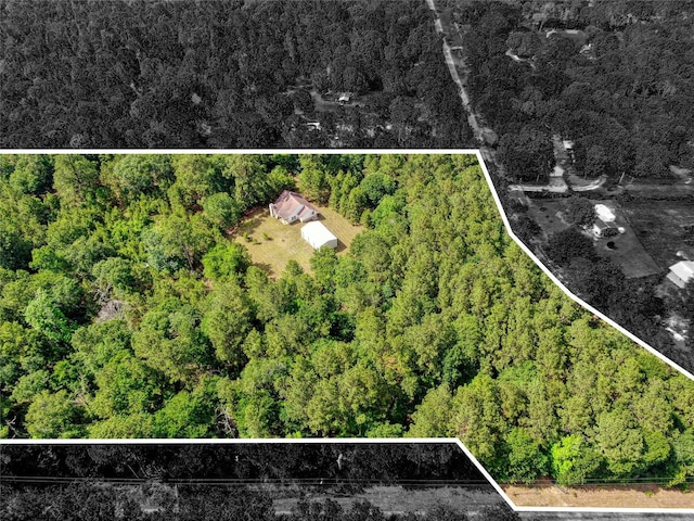 12447 Mitchell Ln, Plantersville, TX 77363 - photo 19