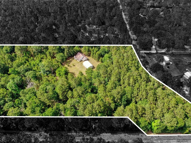 12447 Mitchell Ln, Plantersville, TX 77363 - photo 23
