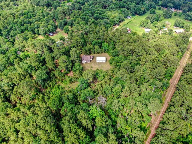 12447 Mitchell Ln, Plantersville, TX 77363 - photo 24