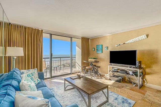 5220 Seawall Blvd Unit 1035, Galveston, TX 77551 - living room with crown molding and baseboards