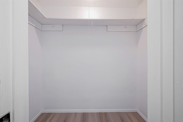 23227 Pine Post Ln, Spring, TX 77373 - walk in closet with light wood-type flooring