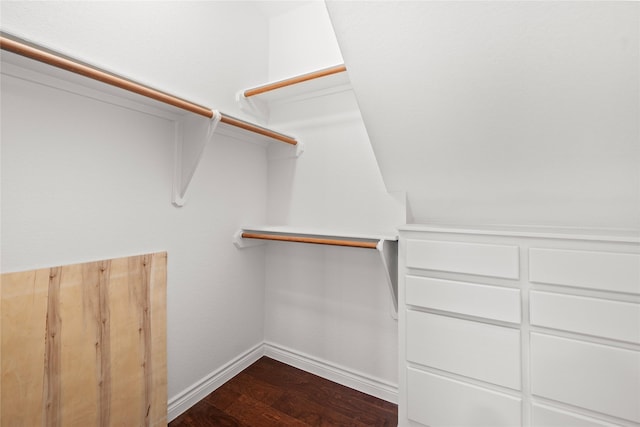 1711 Alcorn Bayou Dr, Sugar Land, TX 77479 - spacious closet featuring dark wood-style floors