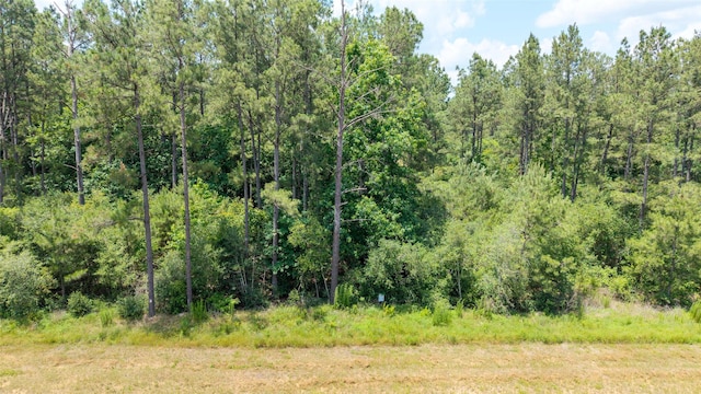 15981 Four Hills Rd, Willis, TX 77378