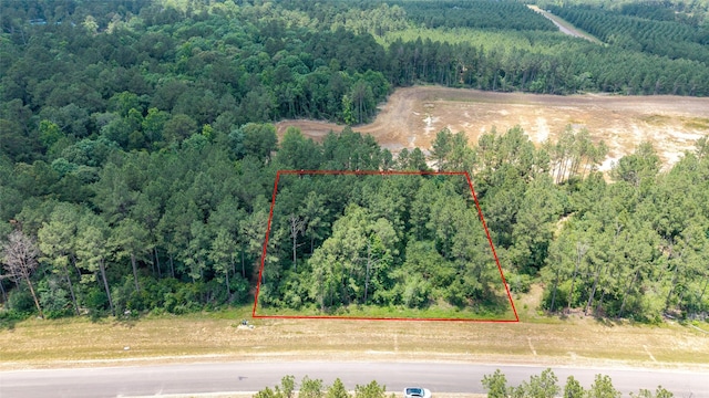 15981 Four Hills Rd, Willis, TX 77378