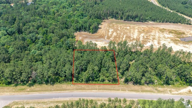 15981 Four Hills Rd, Willis, TX 77378