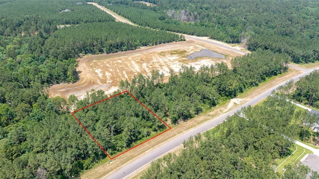 15981 Four Hills Rd, Willis, TX 77378