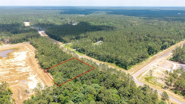15981 Four Hills Rd, Willis, TX 77378